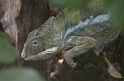 Kids_DZoo_Safari-I (47)